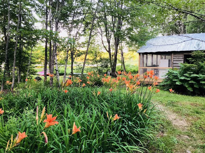 Cole's Moosehorn Cabins Picture 7