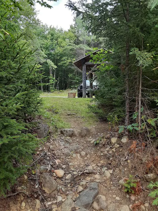 Jo Mary Lake Campground Picture 8