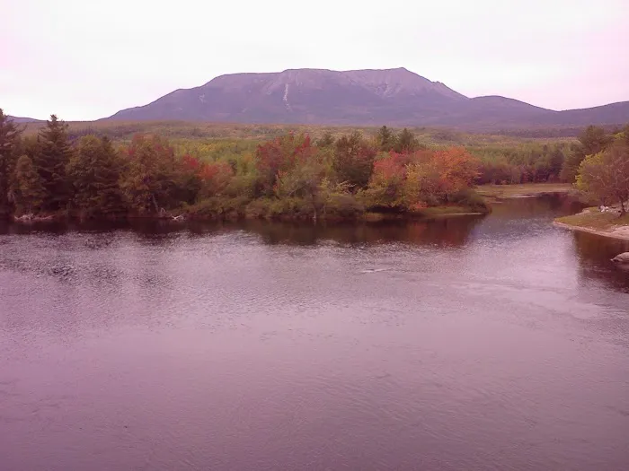 Rainbow Stream Lean-to Picture 3