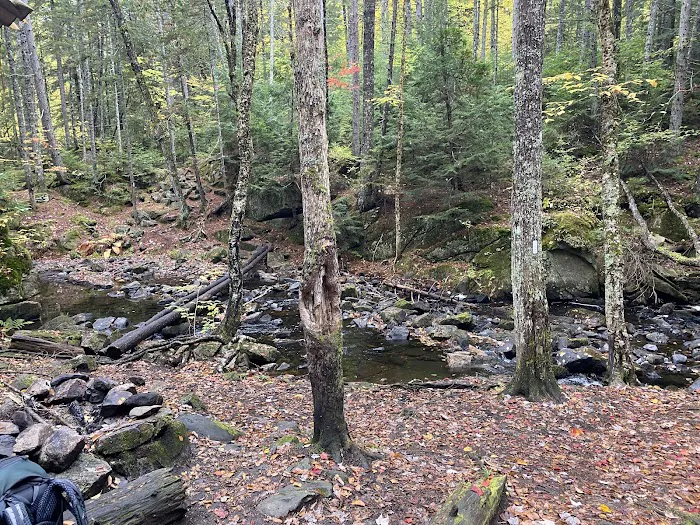 Rainbow Stream Lean-to Picture 5