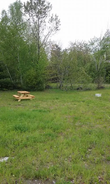 Timeout Wilderness Campground Picture 2