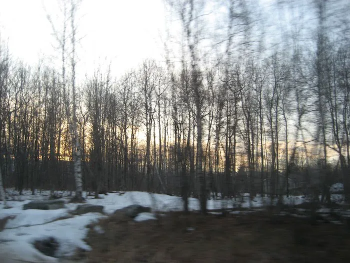 Loon Hollow Cottages Picture 7
