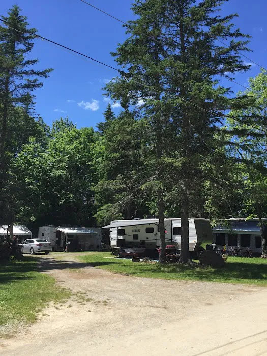 Cold River Campground Picture 6