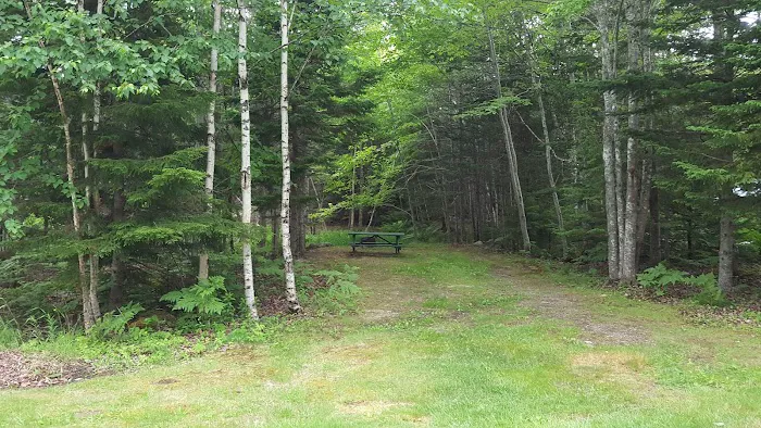 Greenlaw's RV Park and Campground Picture 3