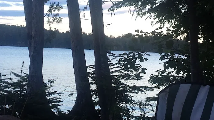 Wanderin Moose Campground Picture 1