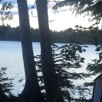 Wanderin Moose Campground