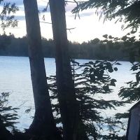 Wanderin Moose Campground ico
