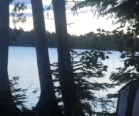 Wanderin Moose Campground