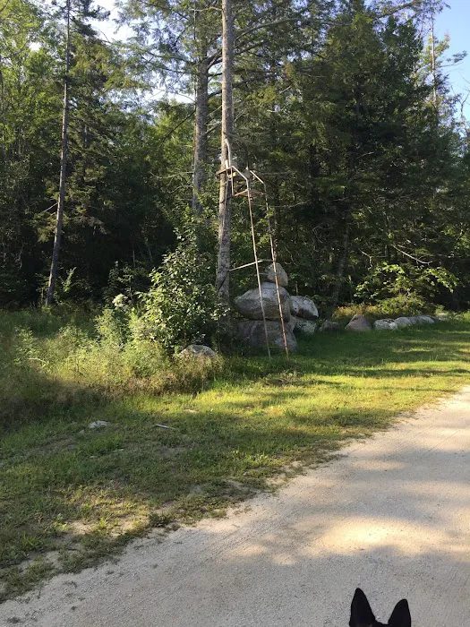 Wanderin Moose Campground Picture 7