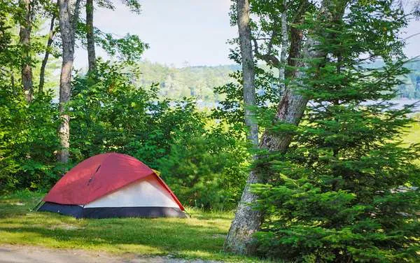 Patten Pond Campground Picture 6