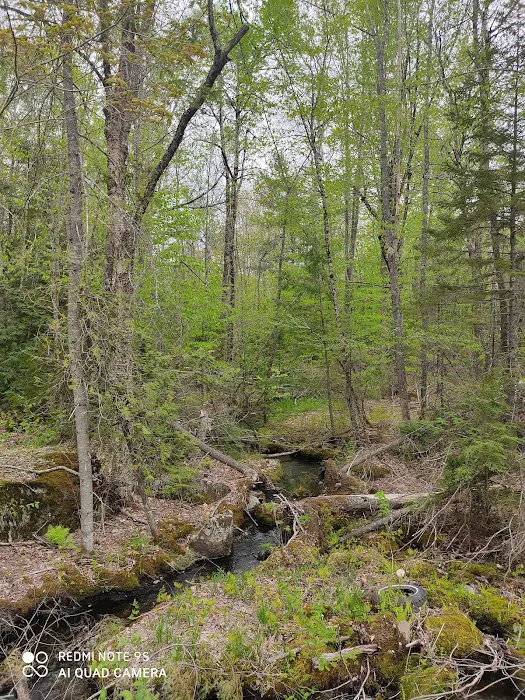 Greenlake Water Sports Picture 1