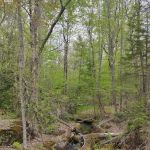 Greenlake Water Sports