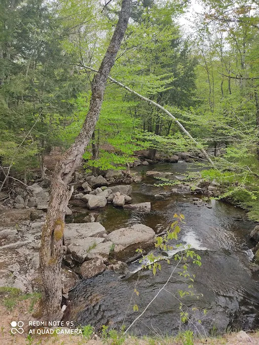 Greenlake Water Sports Picture 3