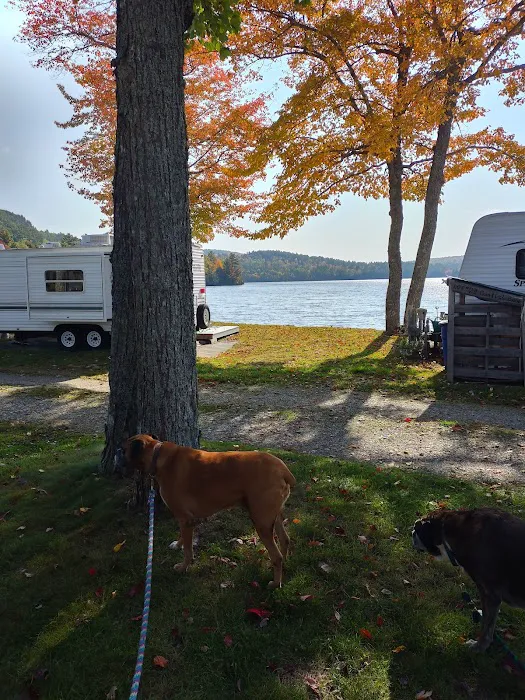 Parks Pond Campground Picture 7