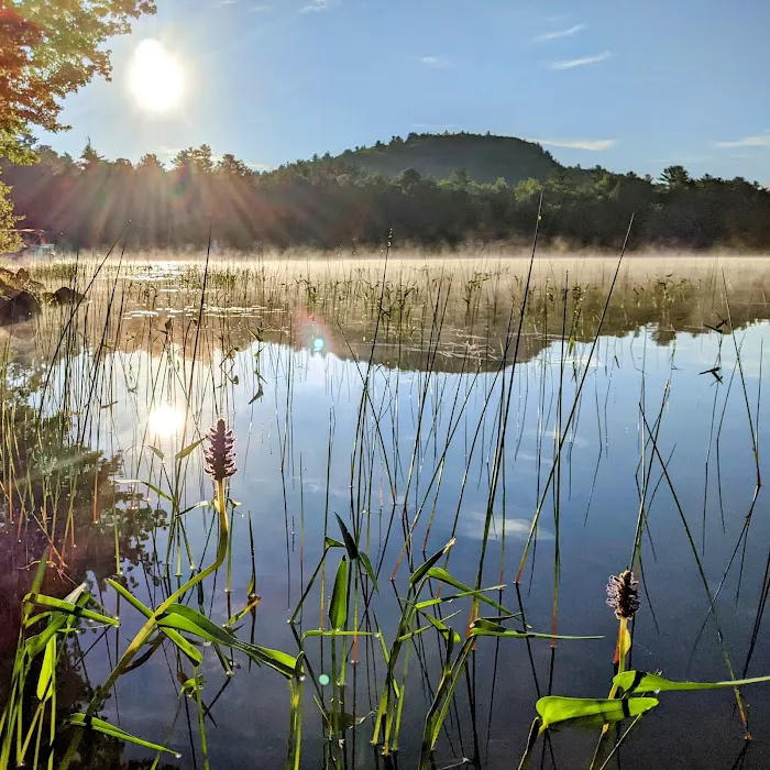 Parks Pond Campground Picture 9