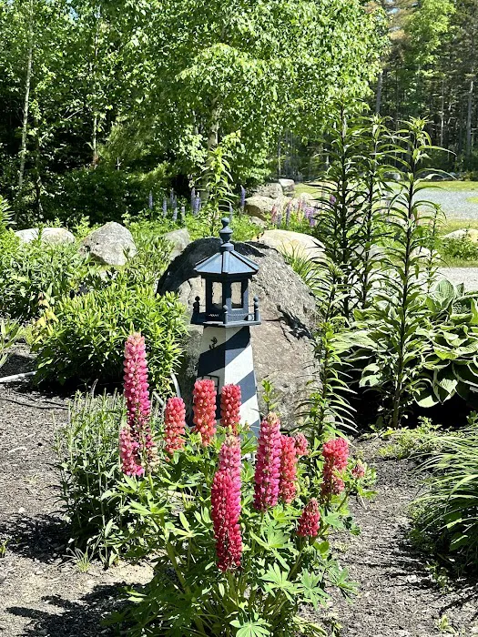 Forest Ridge Campground Picture 4