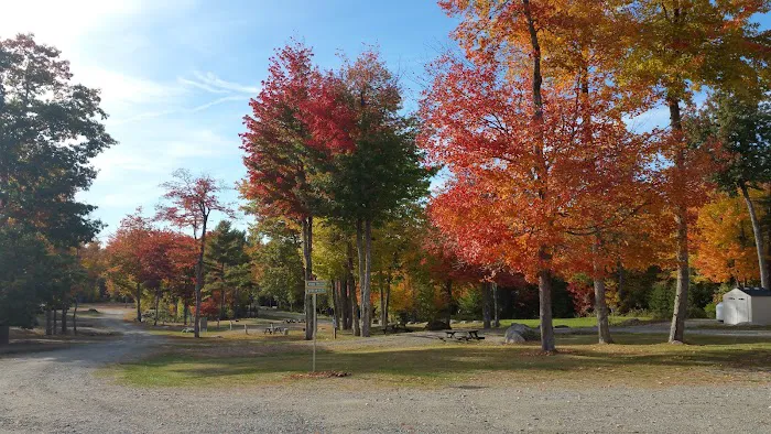 Forest Ridge Campground Picture 8