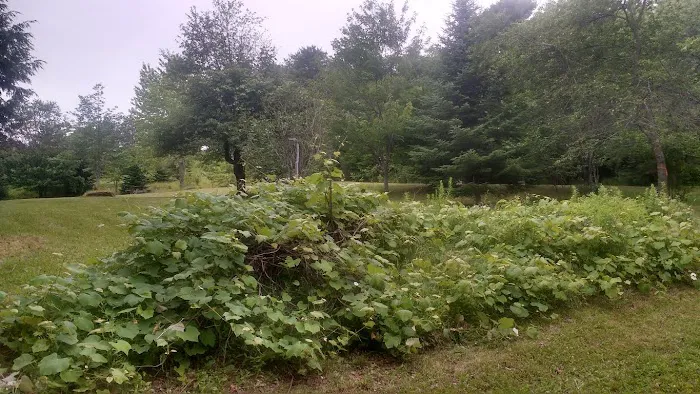 Millpond Overlook Picture 2