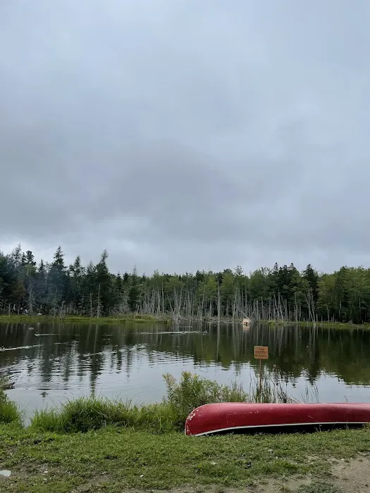 True Serendipity Homestead Picture 2