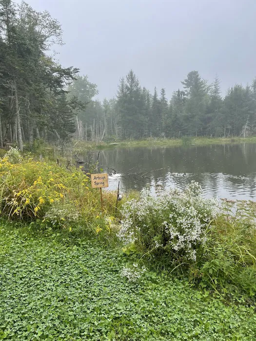 True Serendipity Homestead Picture 6