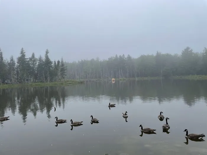 True Serendipity Homestead Picture 1