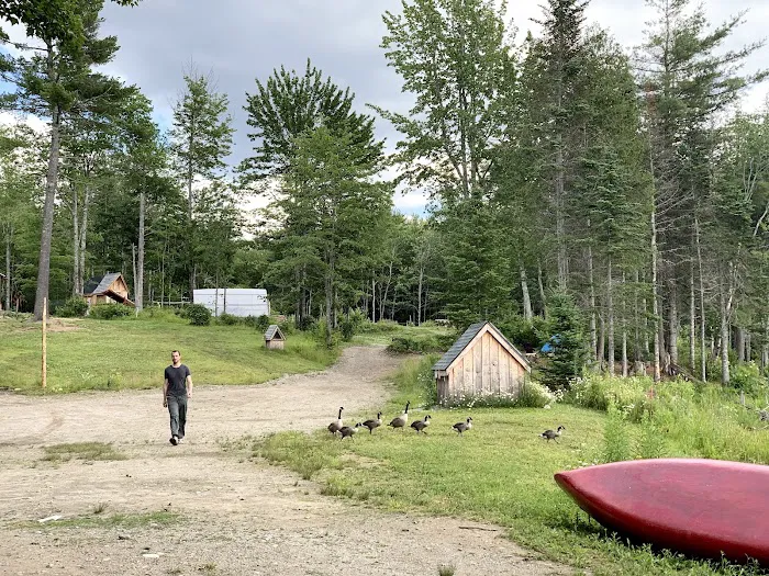 True Serendipity Homestead Picture 7