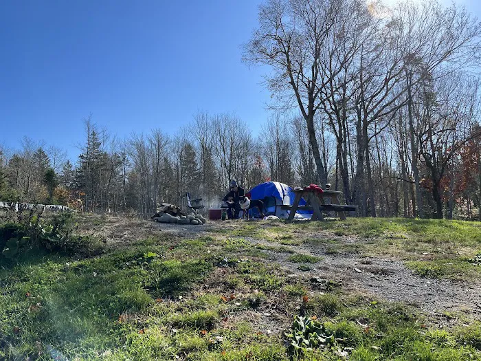 True Serendipity Homestead Picture 8