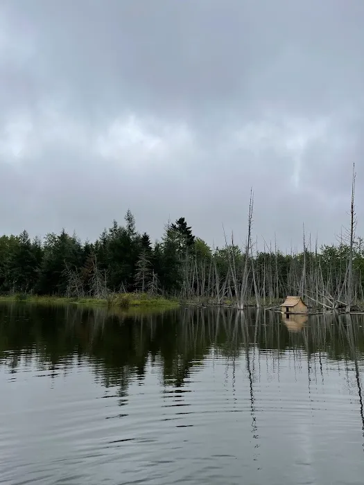 True Serendipity Homestead Picture 4