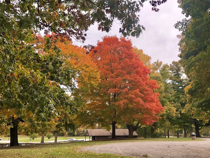 Silver Springs Campground Picture 5