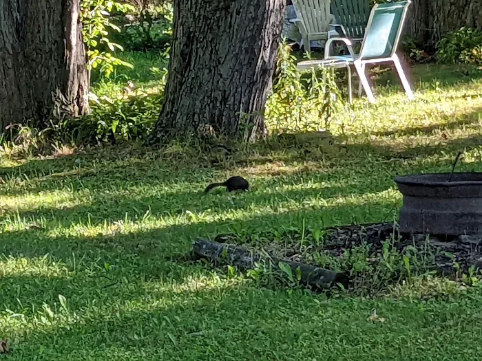 Cherokee Park Co Picture 2