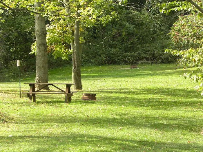 Countryside Campground Picture 6