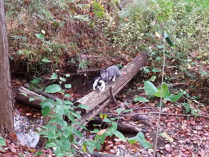 Canaan Acres Campground Picture 7