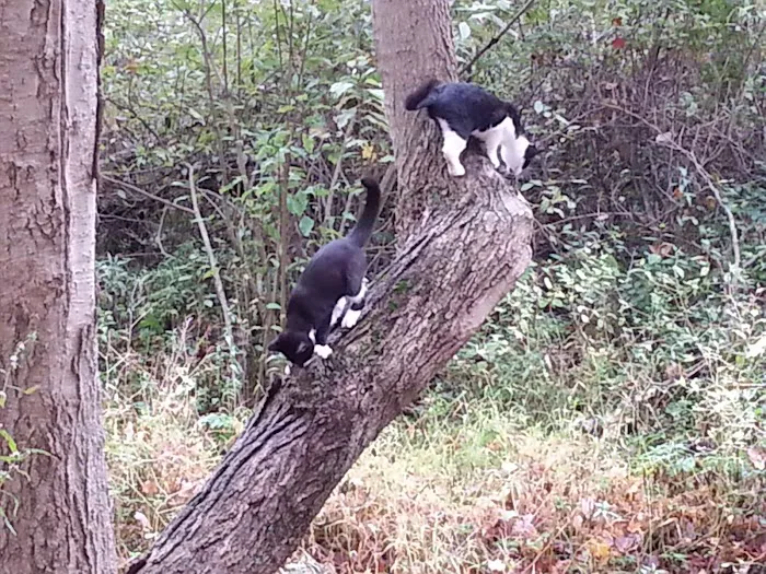 Canaan Acres Campground Picture 8