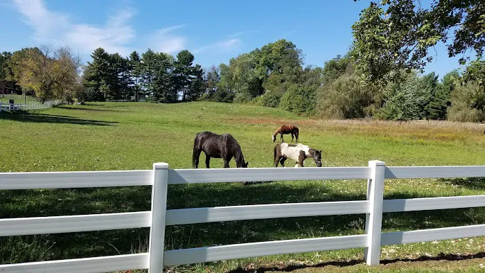 Lake O'Pines Campgrounds Picture 3