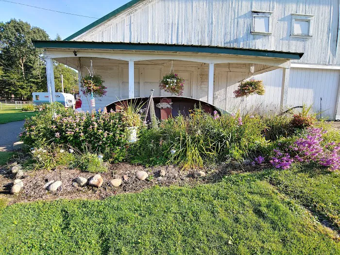 Lake O'Pines Campgrounds Picture 7