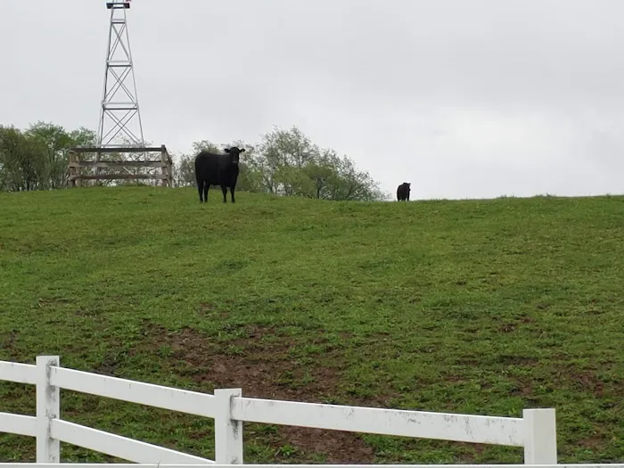 Lake O'Pines Campgrounds Picture 1