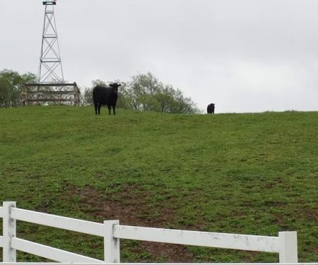 Lake O'Pines Campgrounds