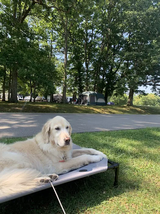 Salt Fork State Park Campground Picture 2