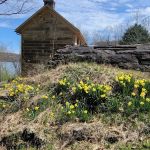 Salt Fork State Park Campground
