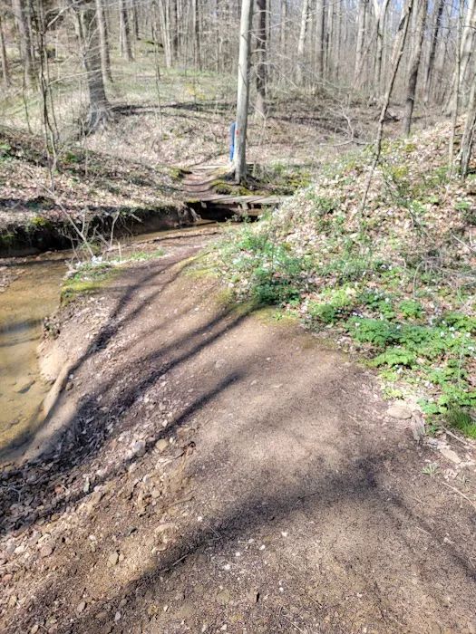 Salt Fork State Park Campground Picture 6