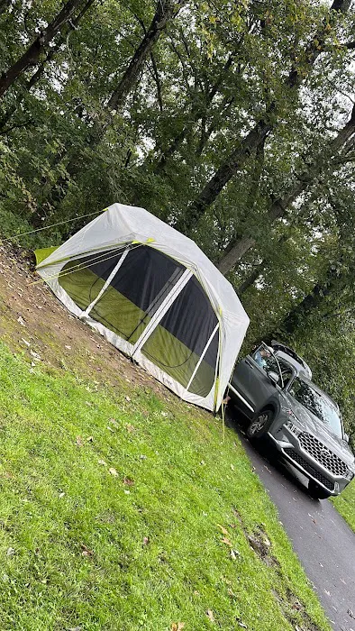 Salt Fork State Park Campground Picture 5