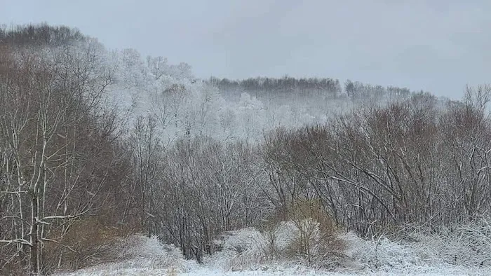 Eagle Rock Lodge Picture 5