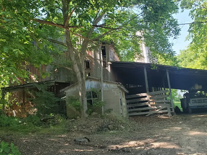 Lake Lila Campground Picture 8