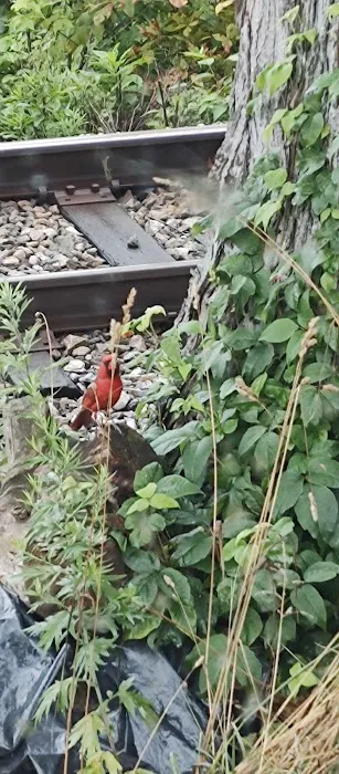 Blue Heron Campground Picture 6