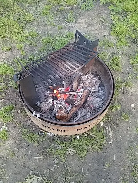 Lane Farm Campground Picture 5