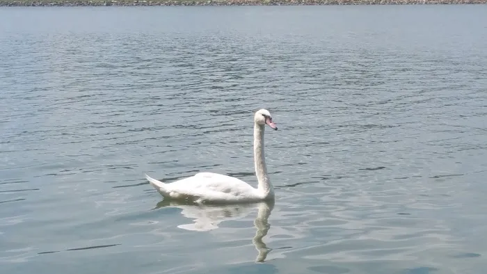 Marina Point Campground Picture 3