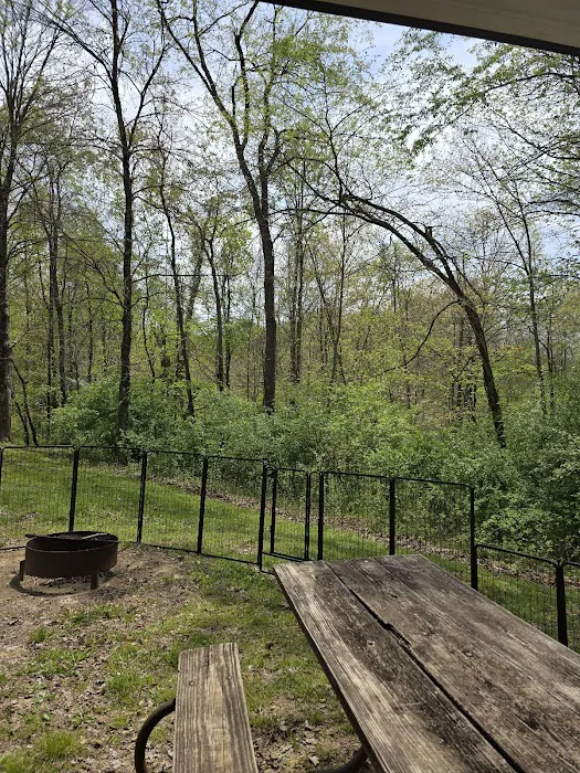 Wolf Run State Park Campground Picture 7