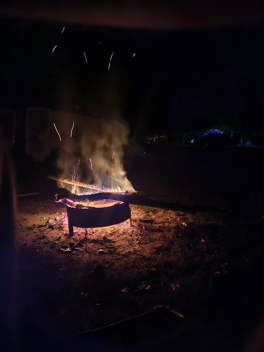 Wolf Run State Park Campground Picture 1