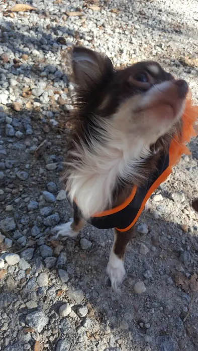 Oakview Campground Picture 4