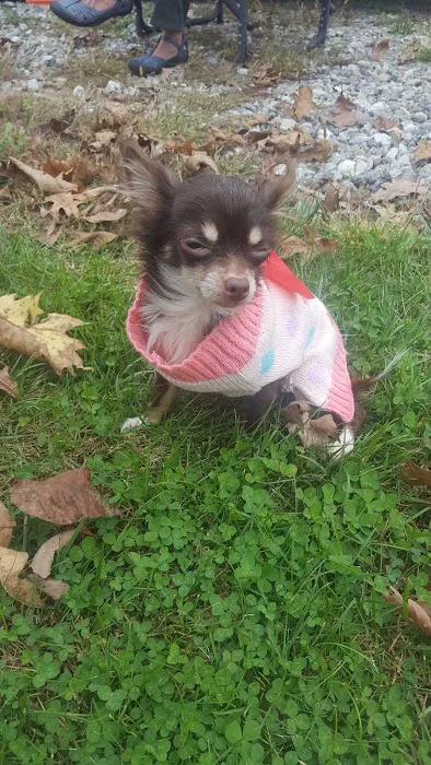 Oakview Campground Picture 5